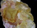 Lustrous, Yellow Cubic Fluorite Crystals - Morocco #37477-2
